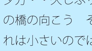 【新着同人誌】夕方・・久しぶりの橋の向こう  それは小さいのではないかという視点  凝縮…のトップ画像