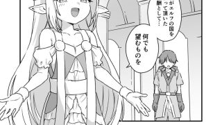 【新着同人誌】エルフの王女様のトップ画像